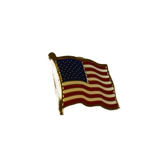 Picture of U.S.A. Flag Pin